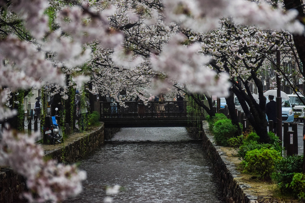 花间