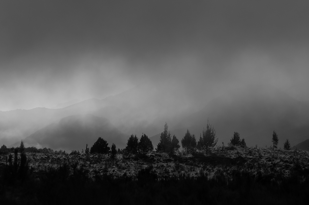 黑白风景