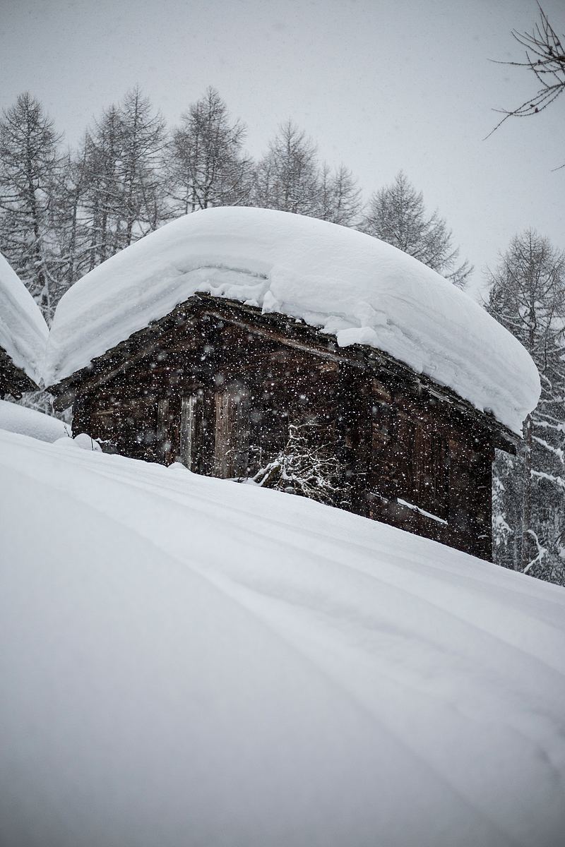 雪有盖的屋顶积雪和雪房