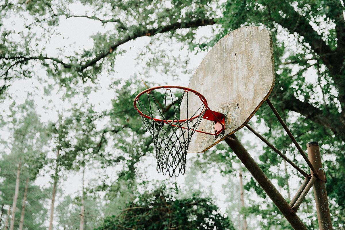 篮筐,篮圈和树