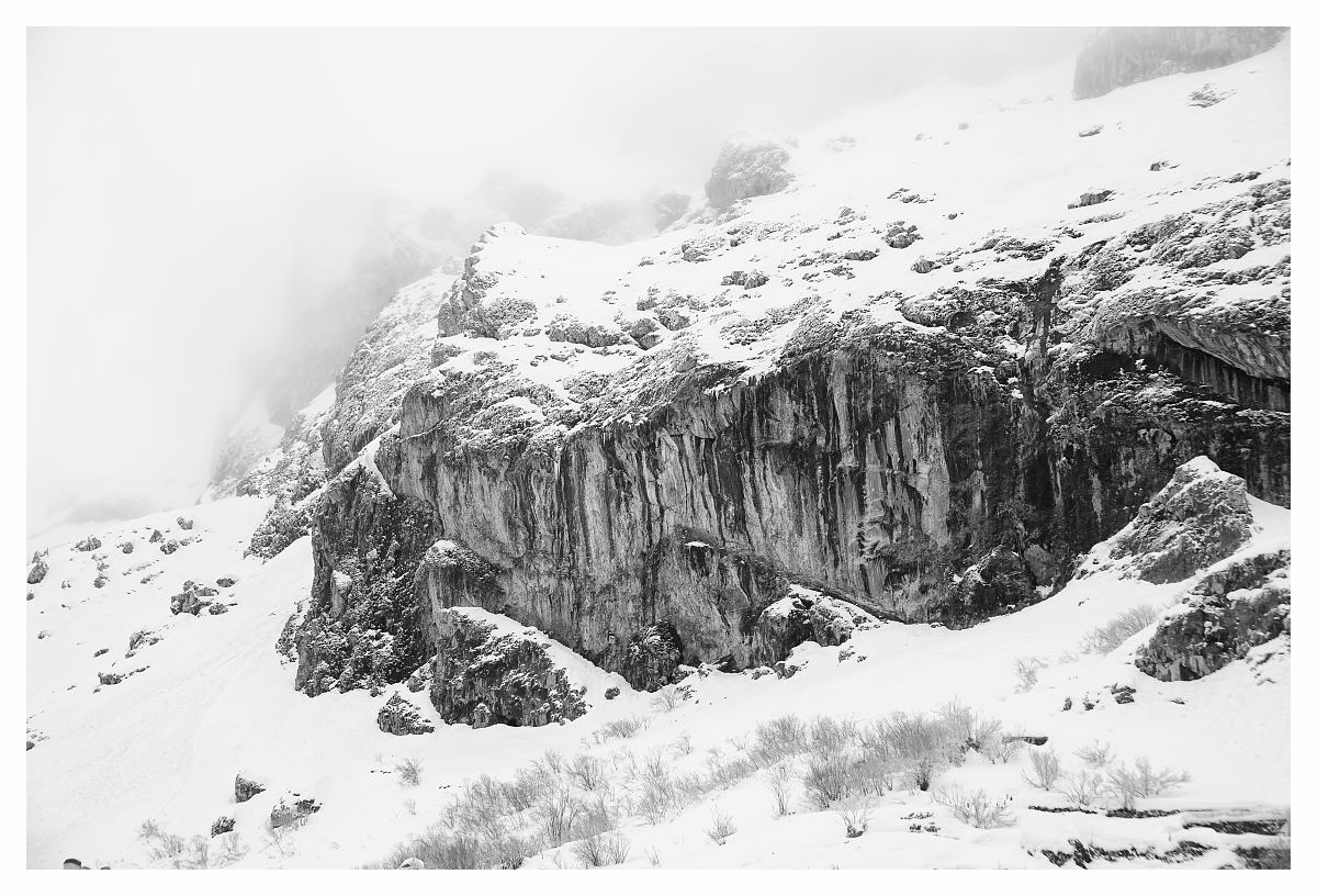 雪山树木黑白高清