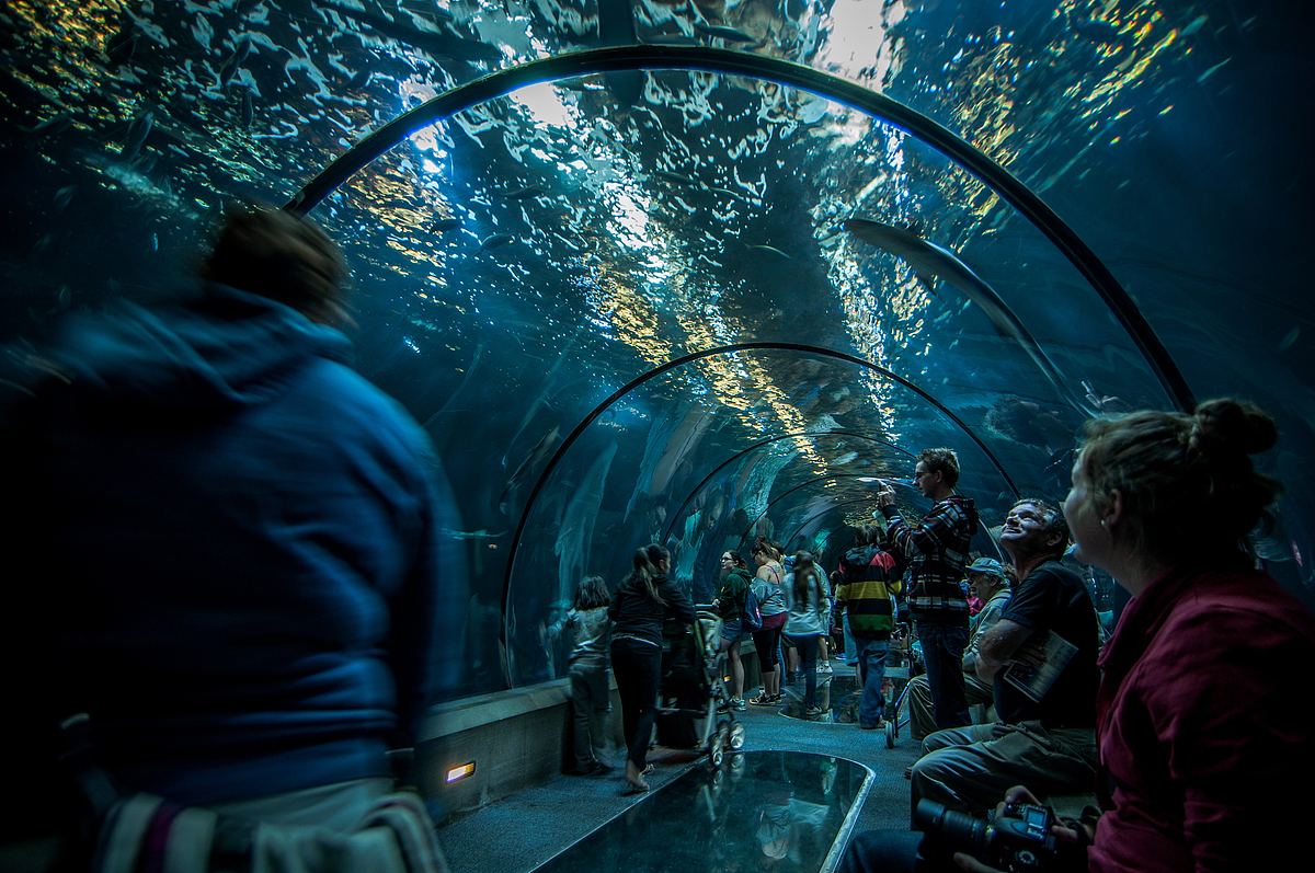 在新港水族馆散步