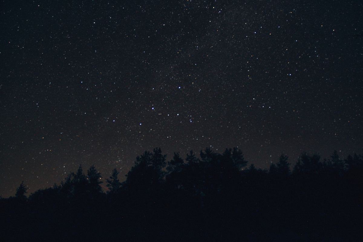 星星,夜空,剪影和夜景