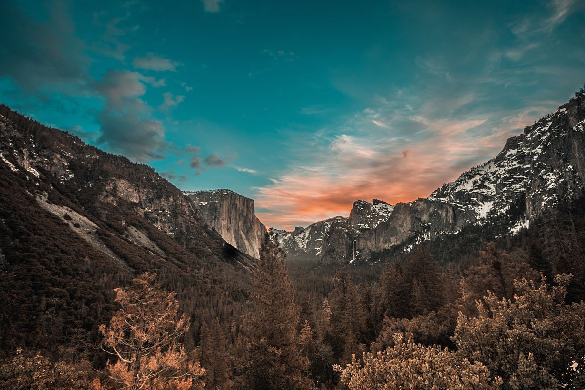 约塞米蒂,景观,山谷和森林