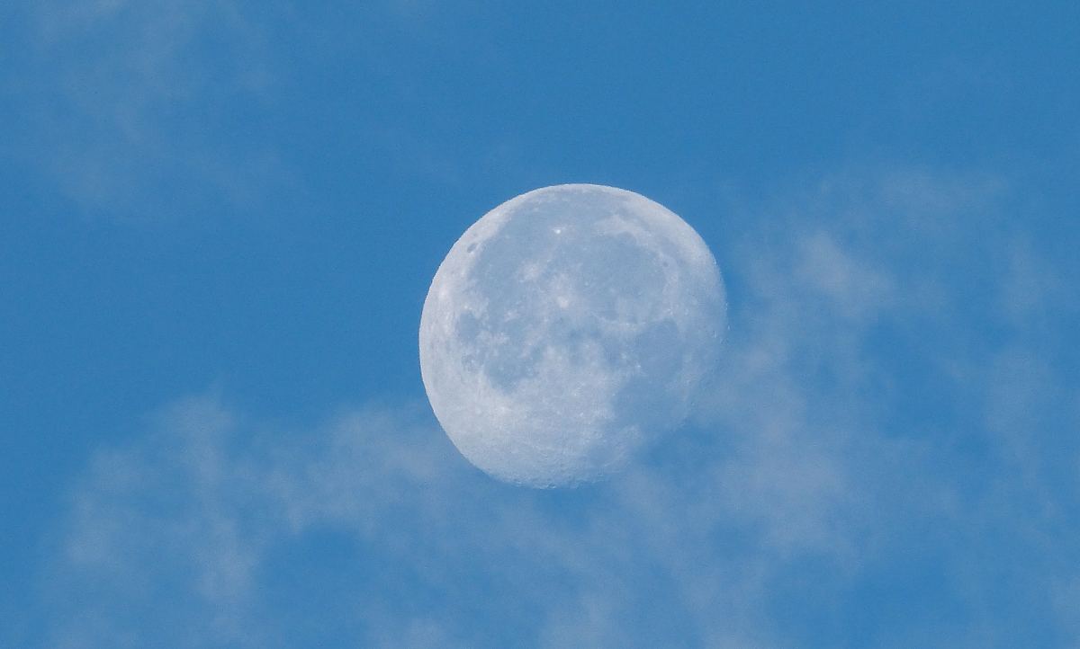 阴月