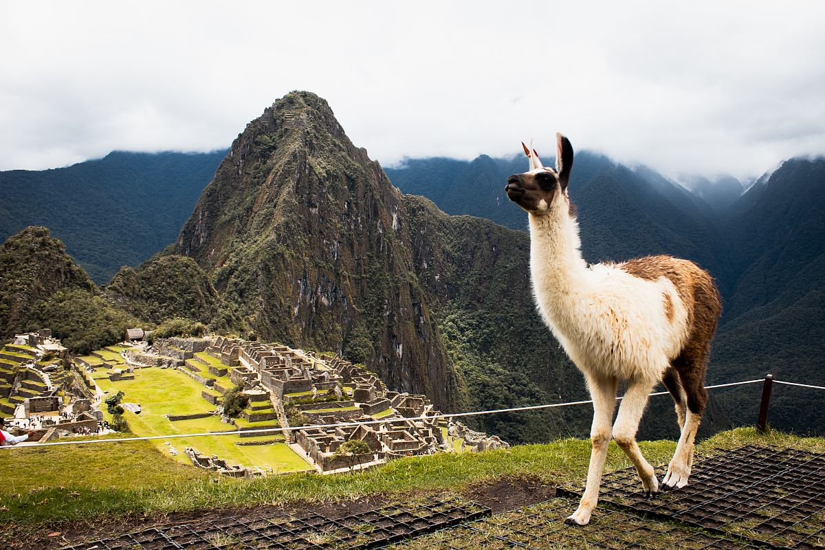 machu picchu马丘比丘