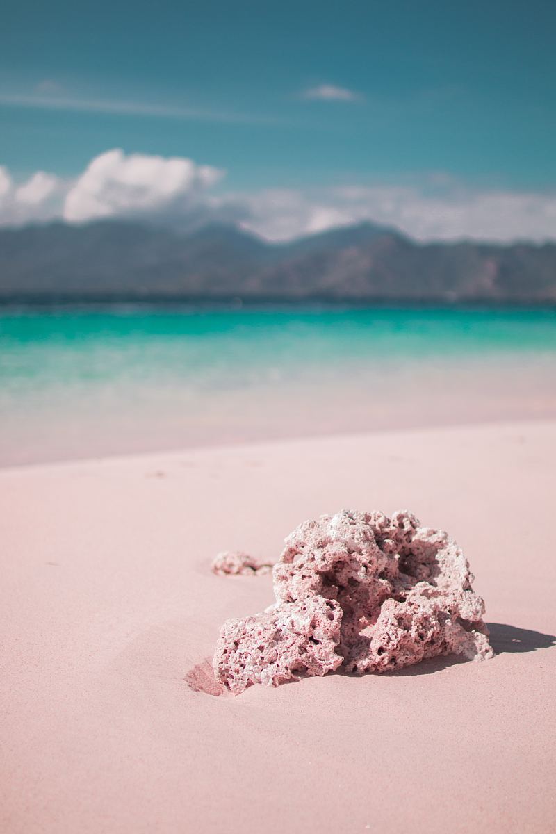 珊瑚海