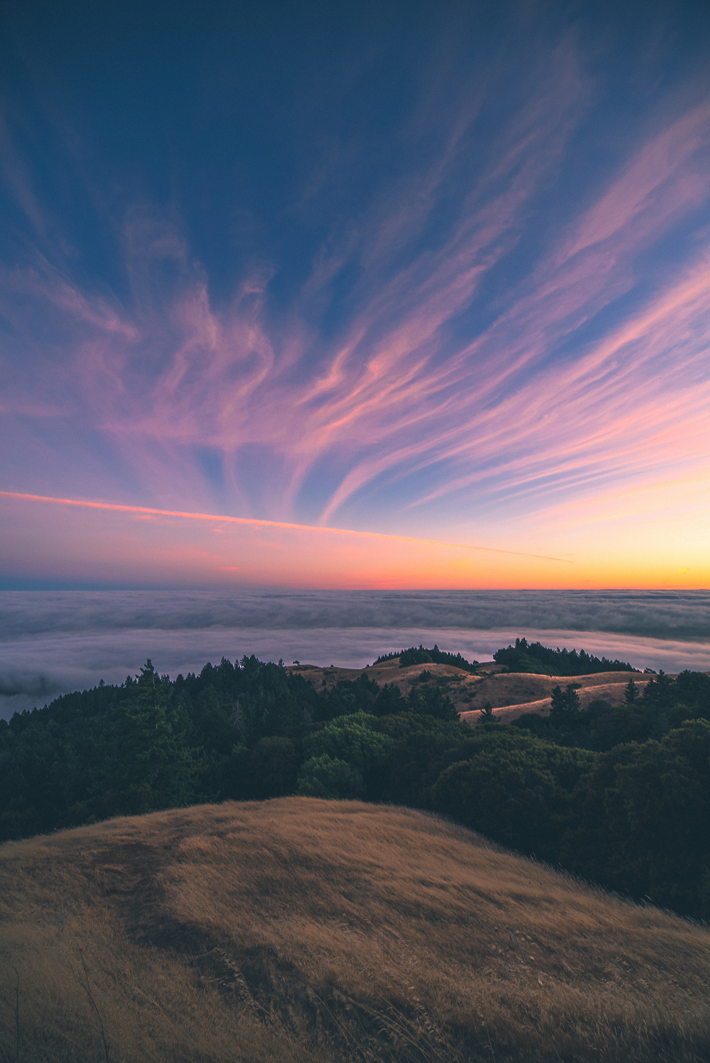 田野,云,天空,日落,日出,户外,树木,林地,森林,草地,山,风景,地平线
