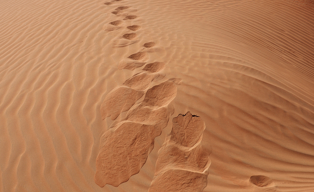沙漠脚印 素材 免费沙漠脚印图片素材 沙漠脚印素材大全 万素网