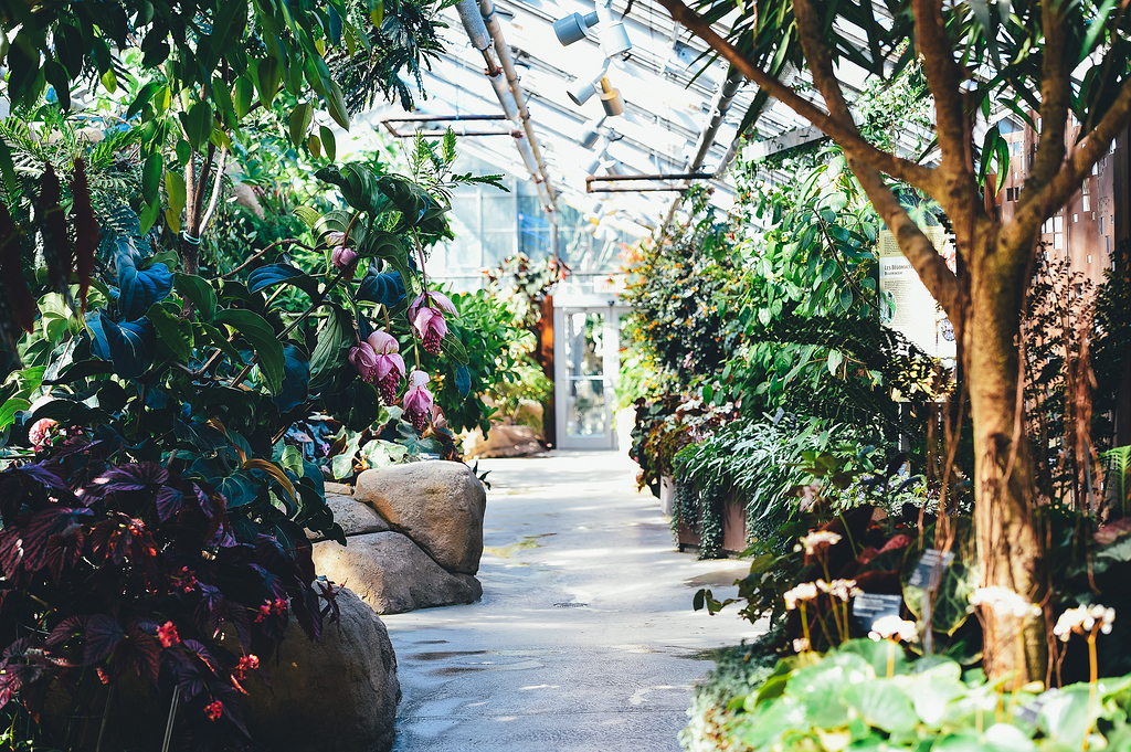 溫室花園