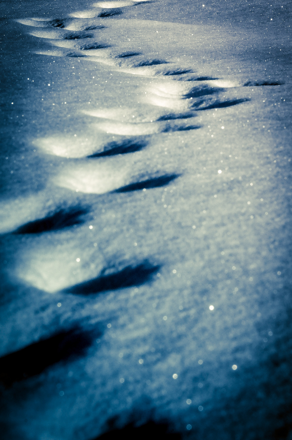 雪背景图片 雪背景素材下载 万素网