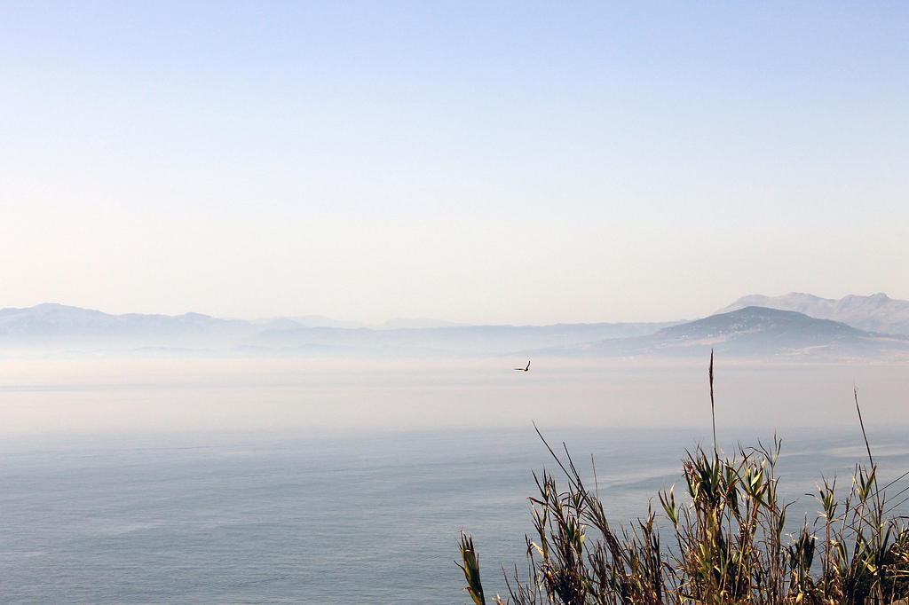 视野开阔的背景