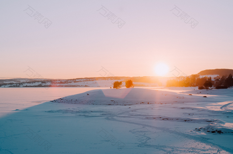 树木和白雪的风景照片