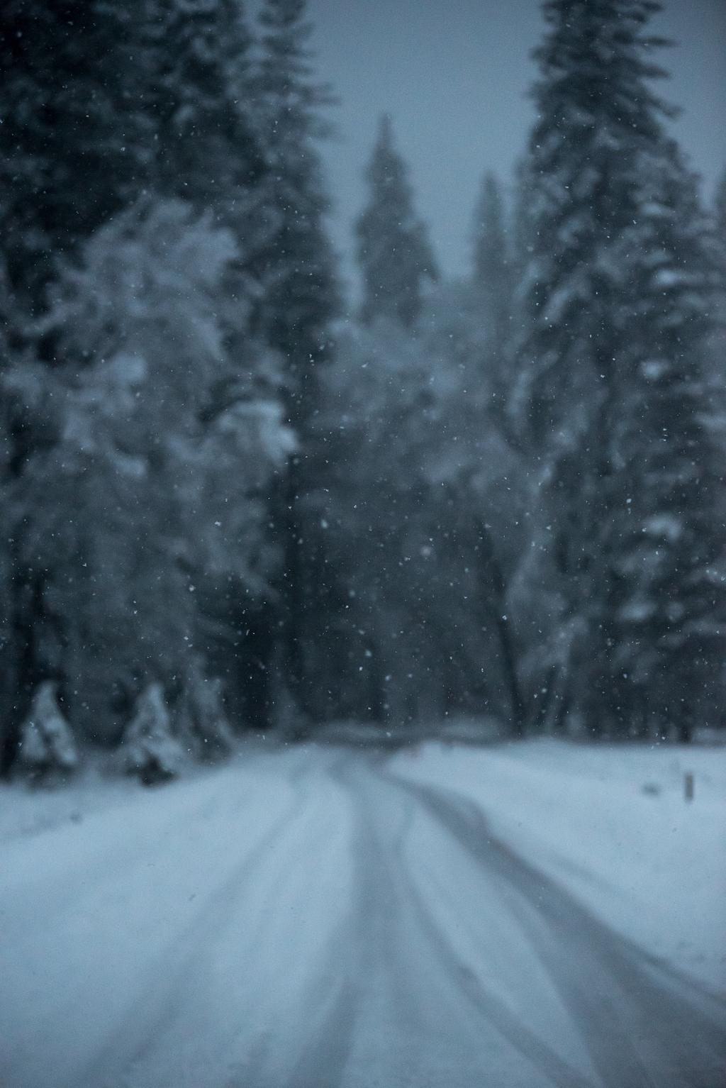 雪季 素材 免费雪季图片素材 雪季素材大全 万素网