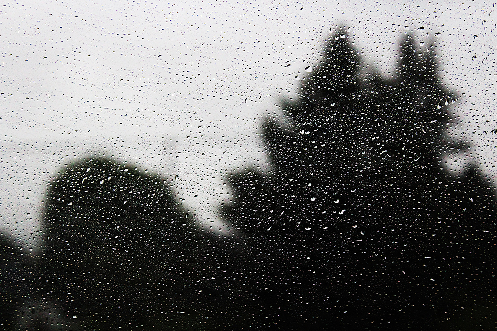 湿窗,水滴,湿,玻璃,雨,雨滴,轮廓,黑白,水,淋浴,雾,孤独,悲伤,黑色