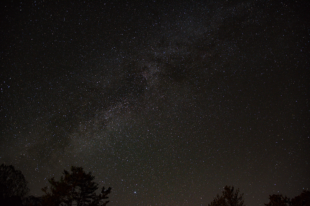 天空,星系,星座,夜空,宇宙,阿巴拉契亚,树,外层空间,空间,自然,闪烁