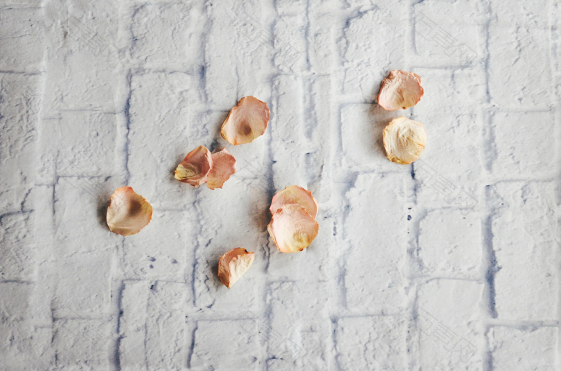 白色表面上的九朵枯萎的玫瑰花瓣