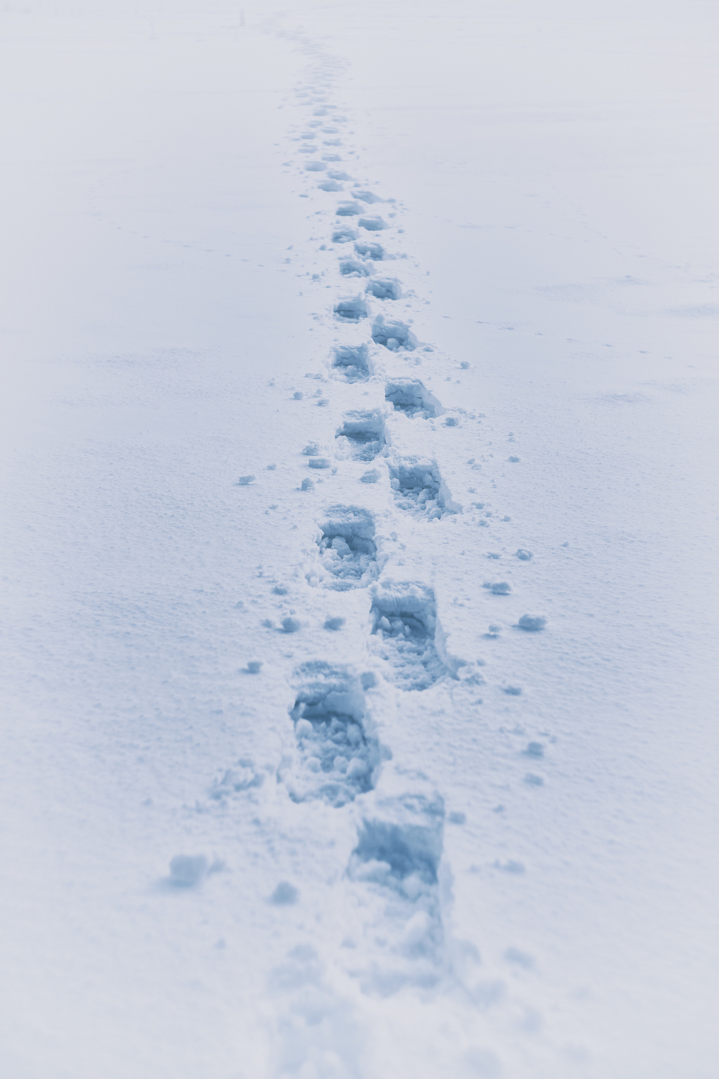 踩在雪上的脚印图片图片