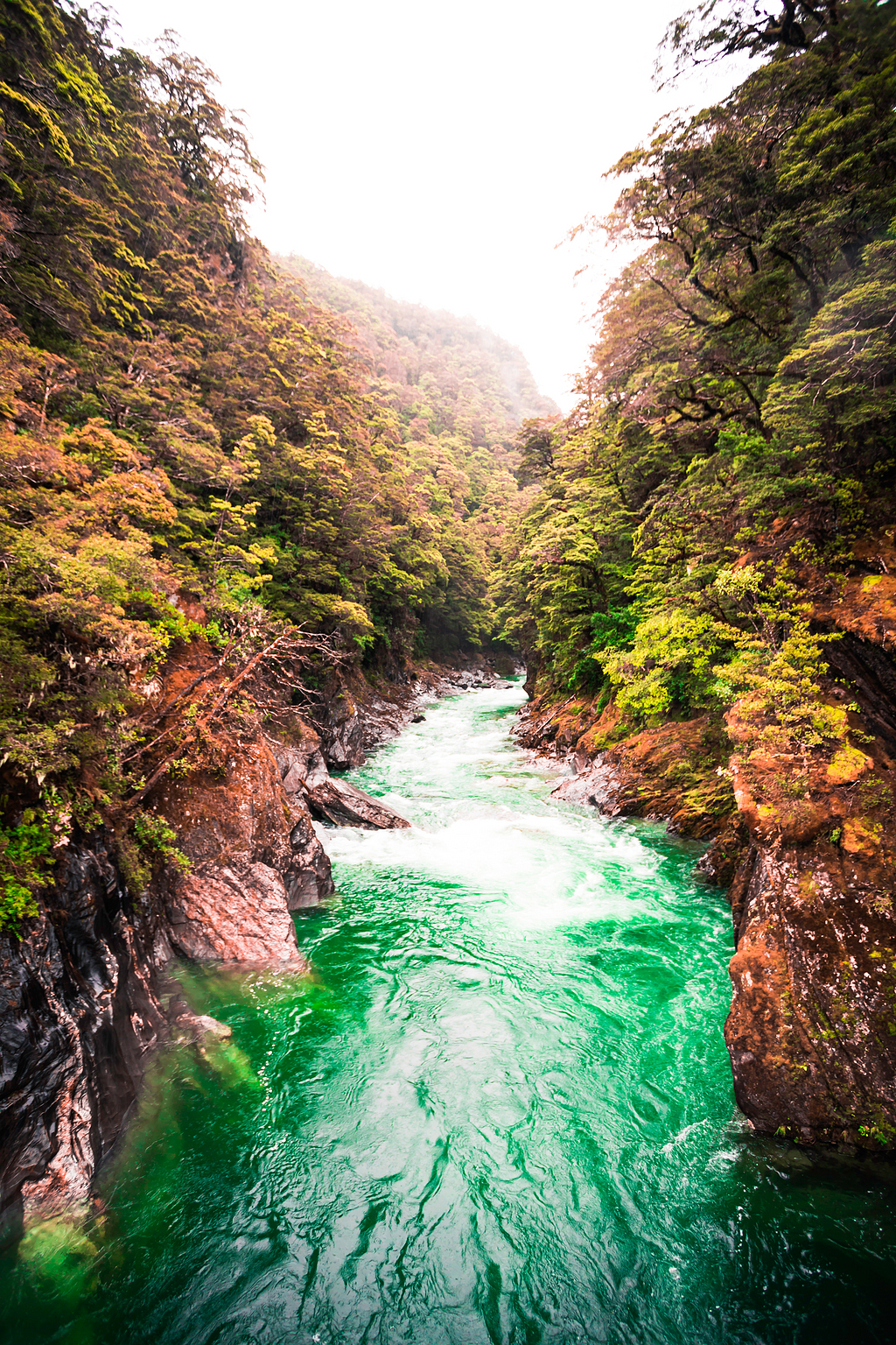 流動河流風景圖片