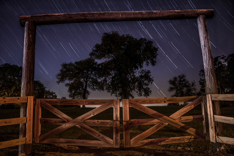 褐木门的虫眼摄影