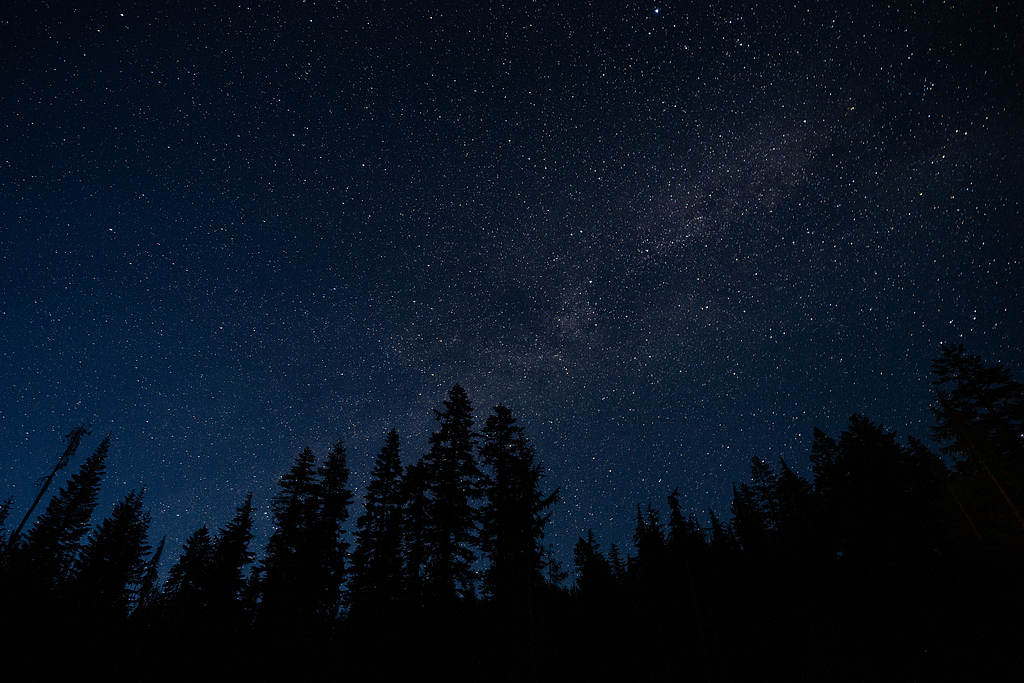星空下的松林