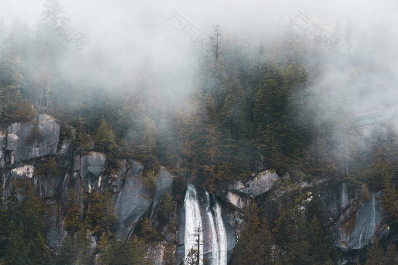 绿树成荫的瀑布