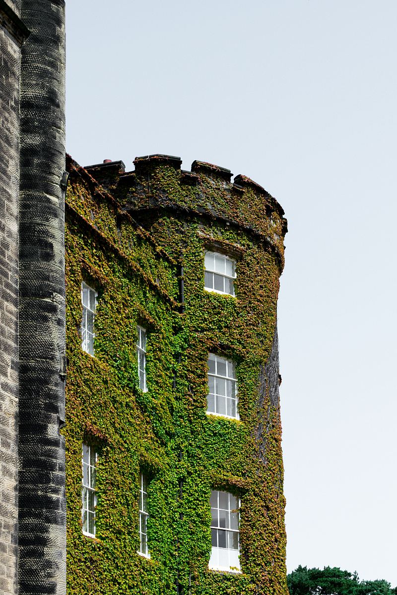 葡萄藤,城堡,德比郡和布雷特比