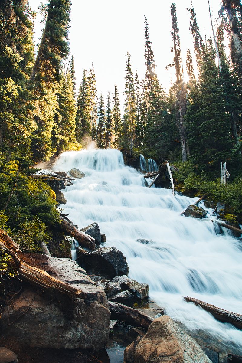 溪流森林高山和树木