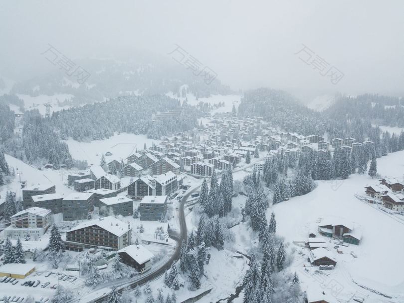建筑森林冰雪和冬季