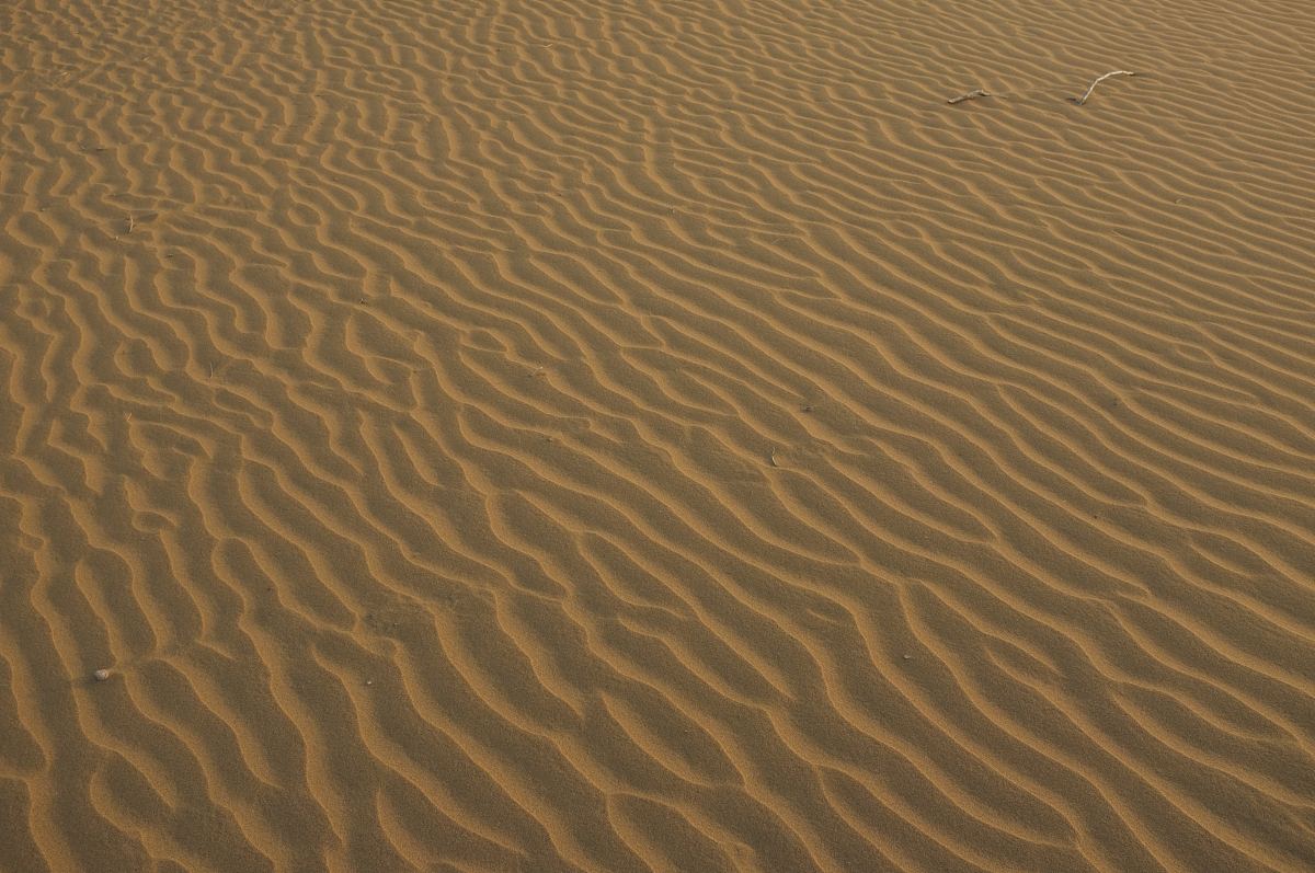 沙漠,沙波纹和纹理