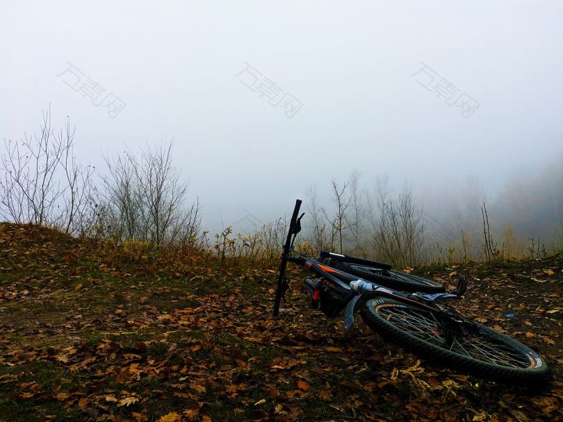 自行车树叶秋天和秋天