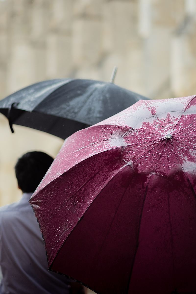 英国雨伞