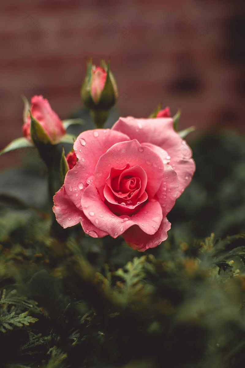 暴风雨过后