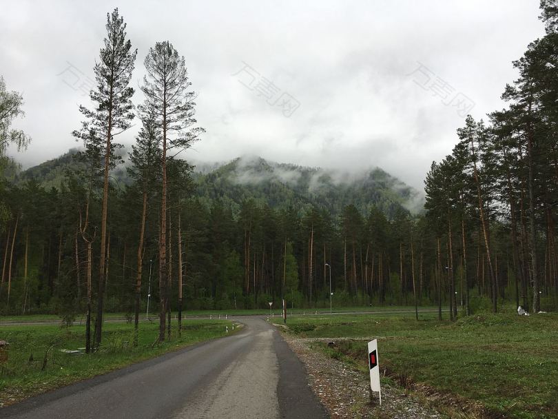 树路山高