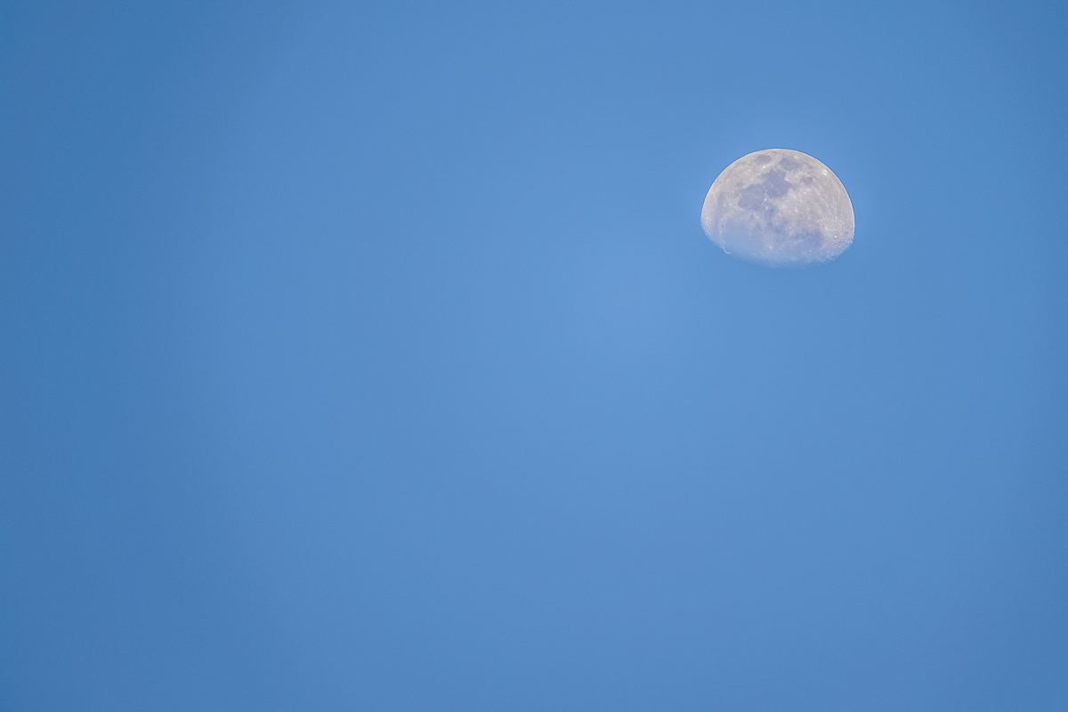 二月初七的月亮图片图片