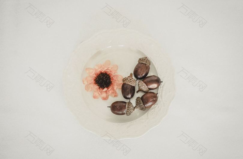 橡子花盘及静物