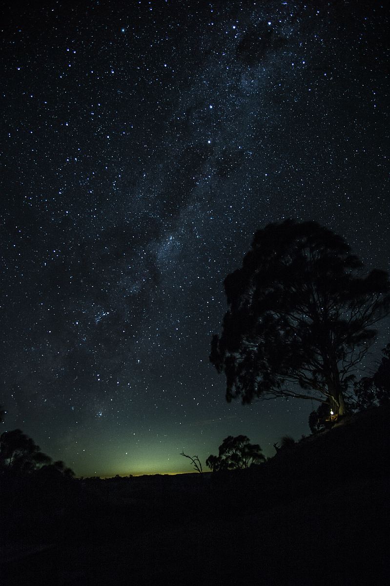 夜,天,星,树