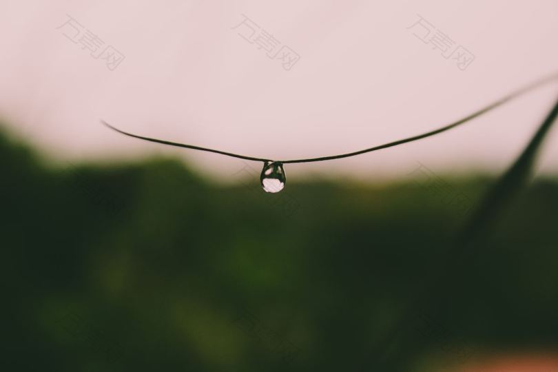 水雨水海水海域