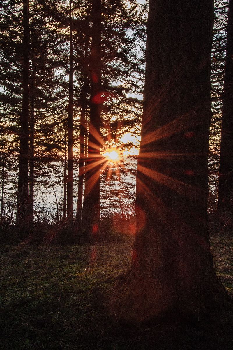 山顶山脊山和雪