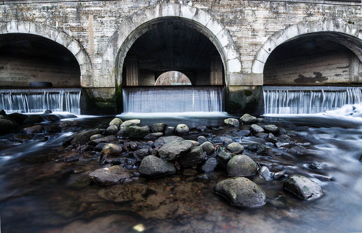 appeasement, elslode and