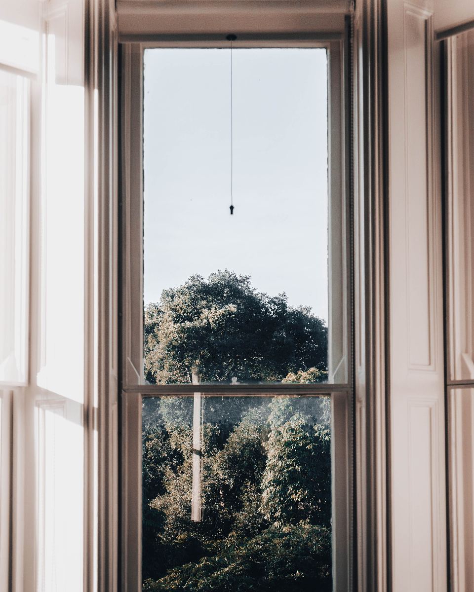 树框摄影图图片-树框素材下载-万素网