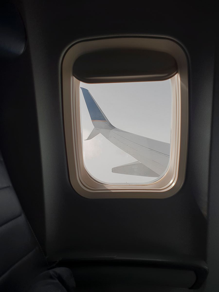飞机内部靠窗图片图片