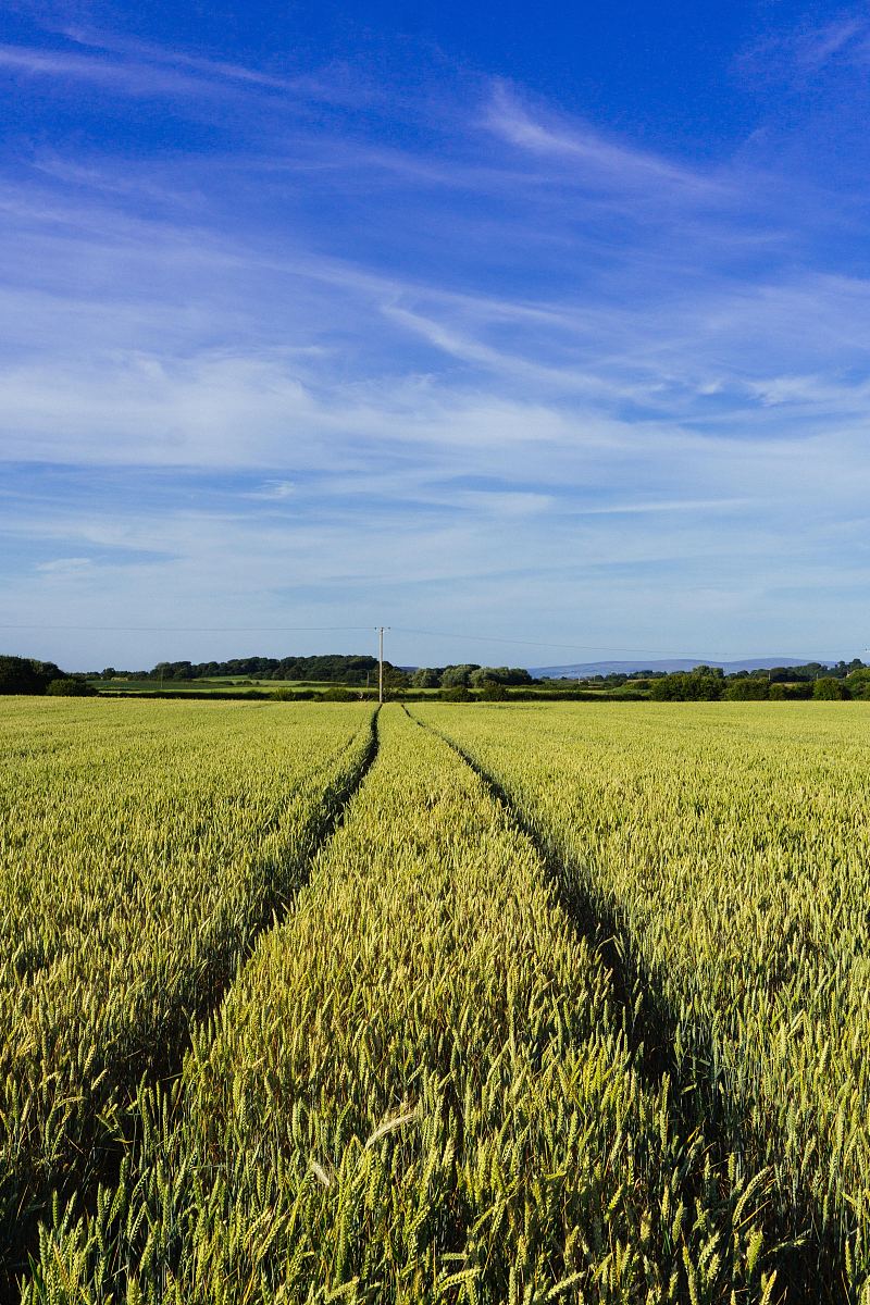 英国preesall兰开夏田田和作物田